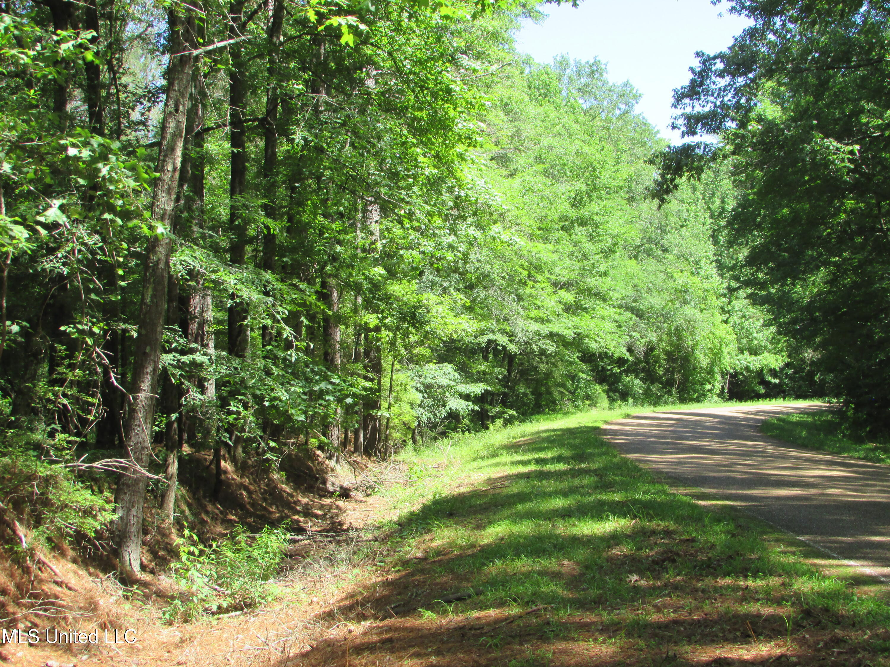 Westbrook And Bend Road Vaughan, MS 39179 - Photo 26 of 28 IMG_0039