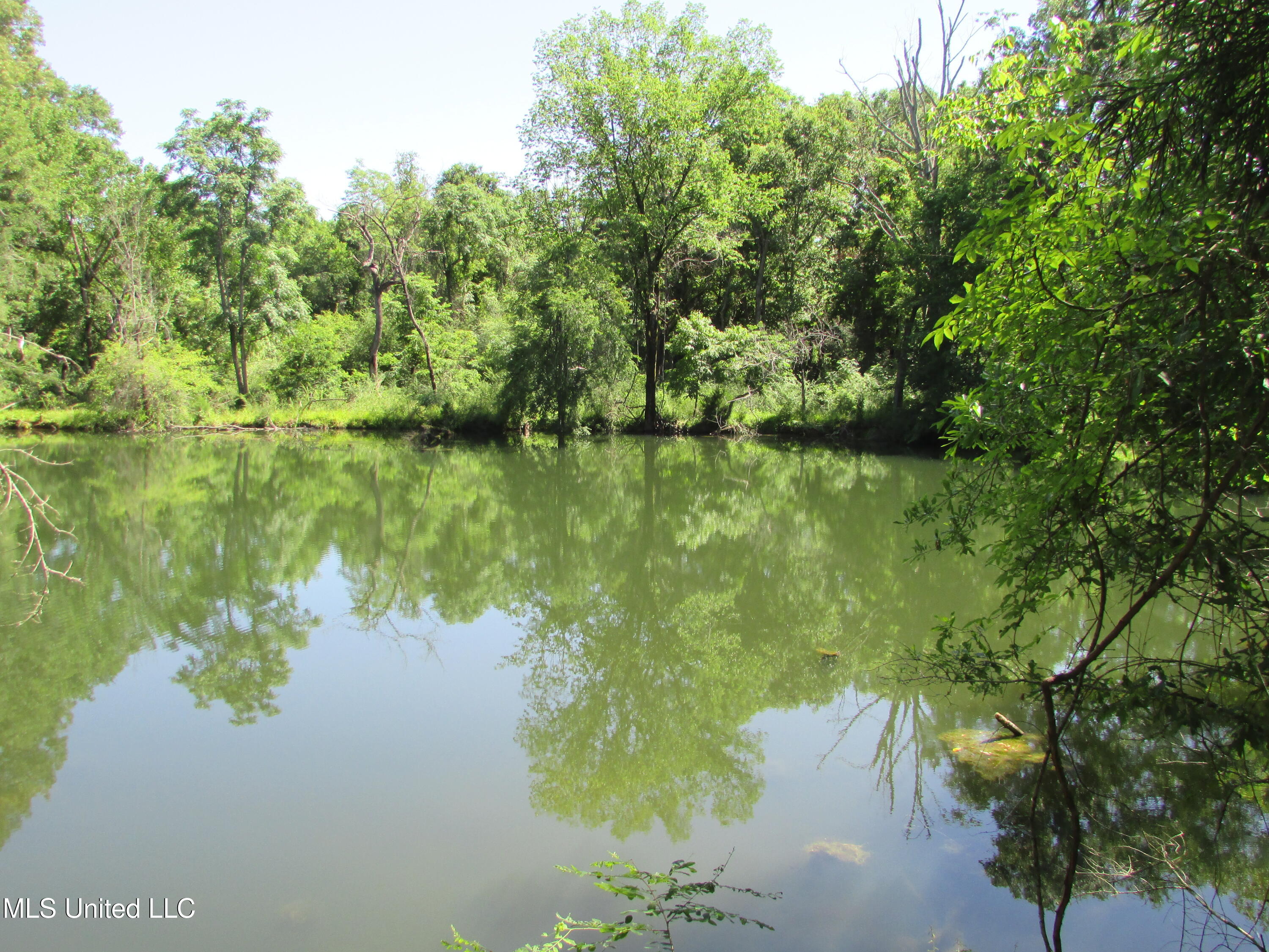 Westbrook And Bend Road Vaughan, MS 39179 - Photo 3 of 28 IMG_0003