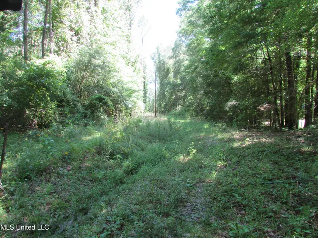 $615,000 | Westbrook And Bend Road, Vaughan, MS 39179