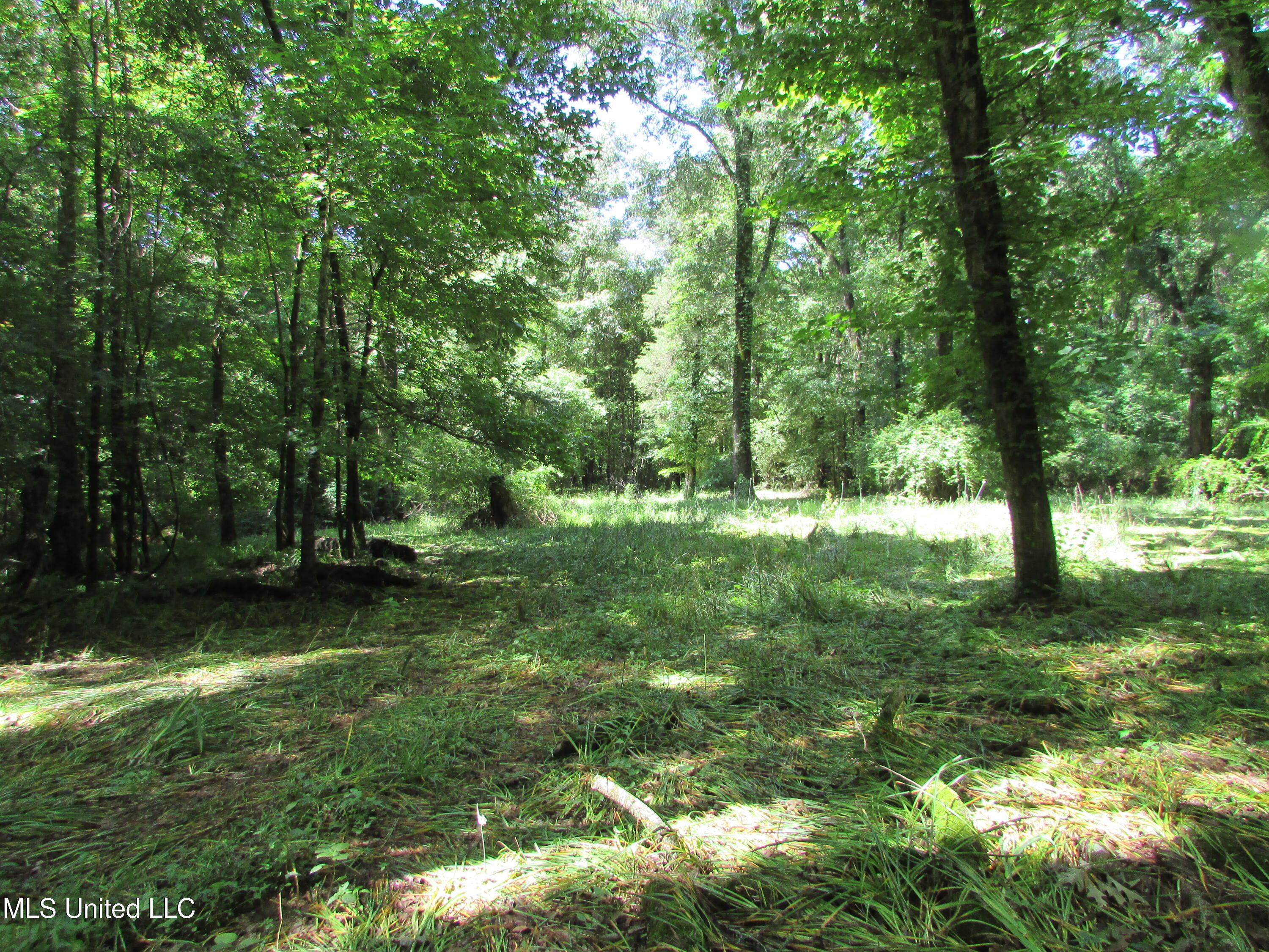 Westbrook And Bend Road Vaughan, MS 39179 - Photo 5 of 28 IMG_0011