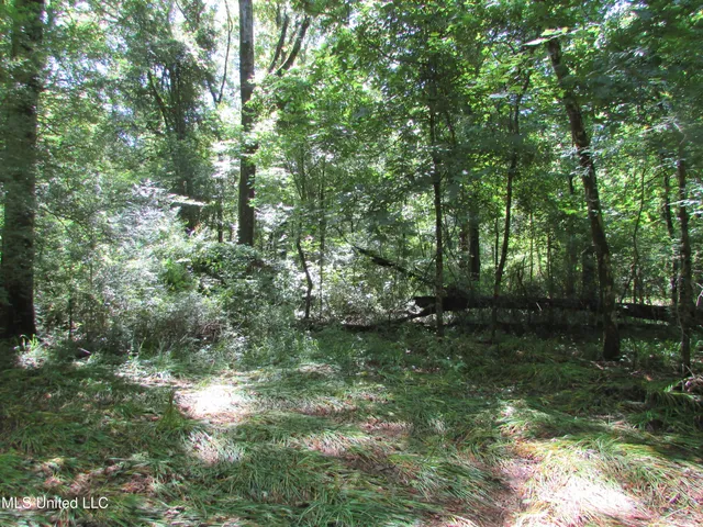 $615,000 | Westbrook And Bend Road, Vaughan, MS 39179