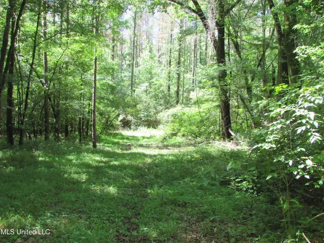 $615,000 | Westbrook And Bend Road, Vaughan, MS 39179