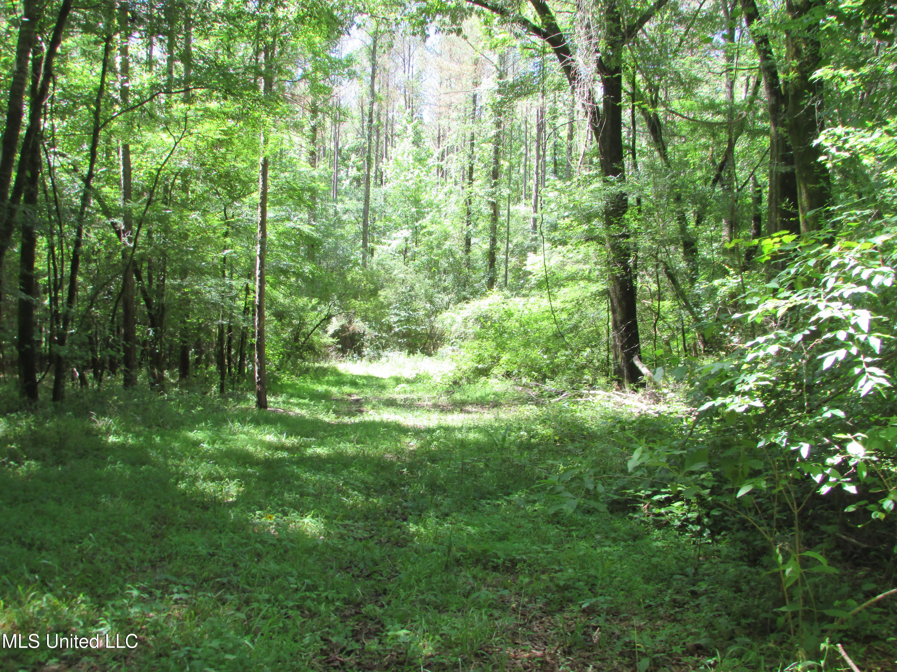 Westbrook And Bend Road Vaughan, MS 39179 - Photo 8 of 28 IMG_0015