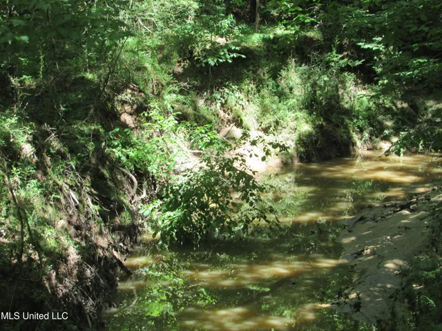 $615,000 | Westbrook And Bend Road, Vaughan, MS 39179