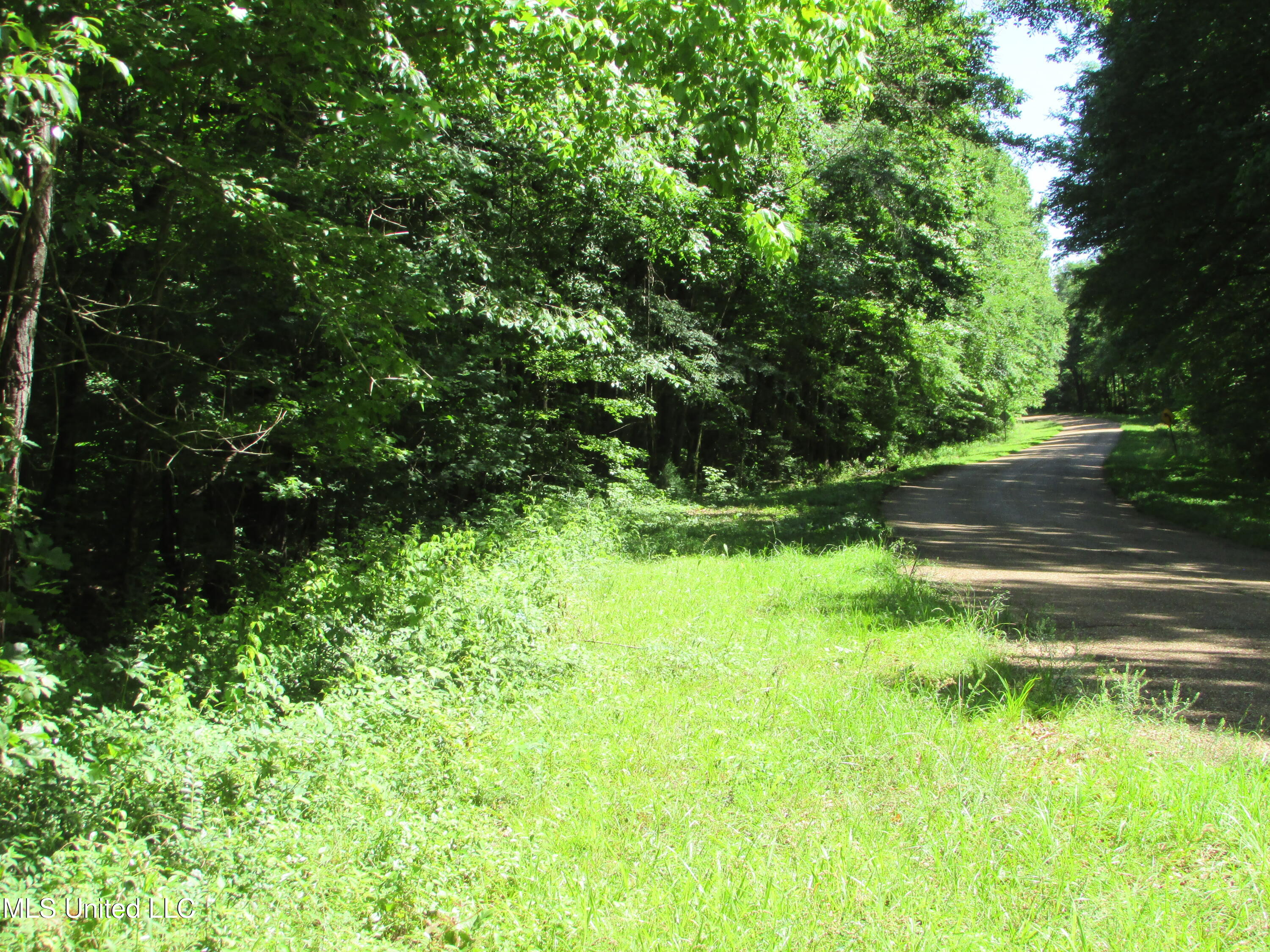 Westbrook And Bend Road Vaughan, MS 39179 - Photo 10 of 28 IMG_0018
