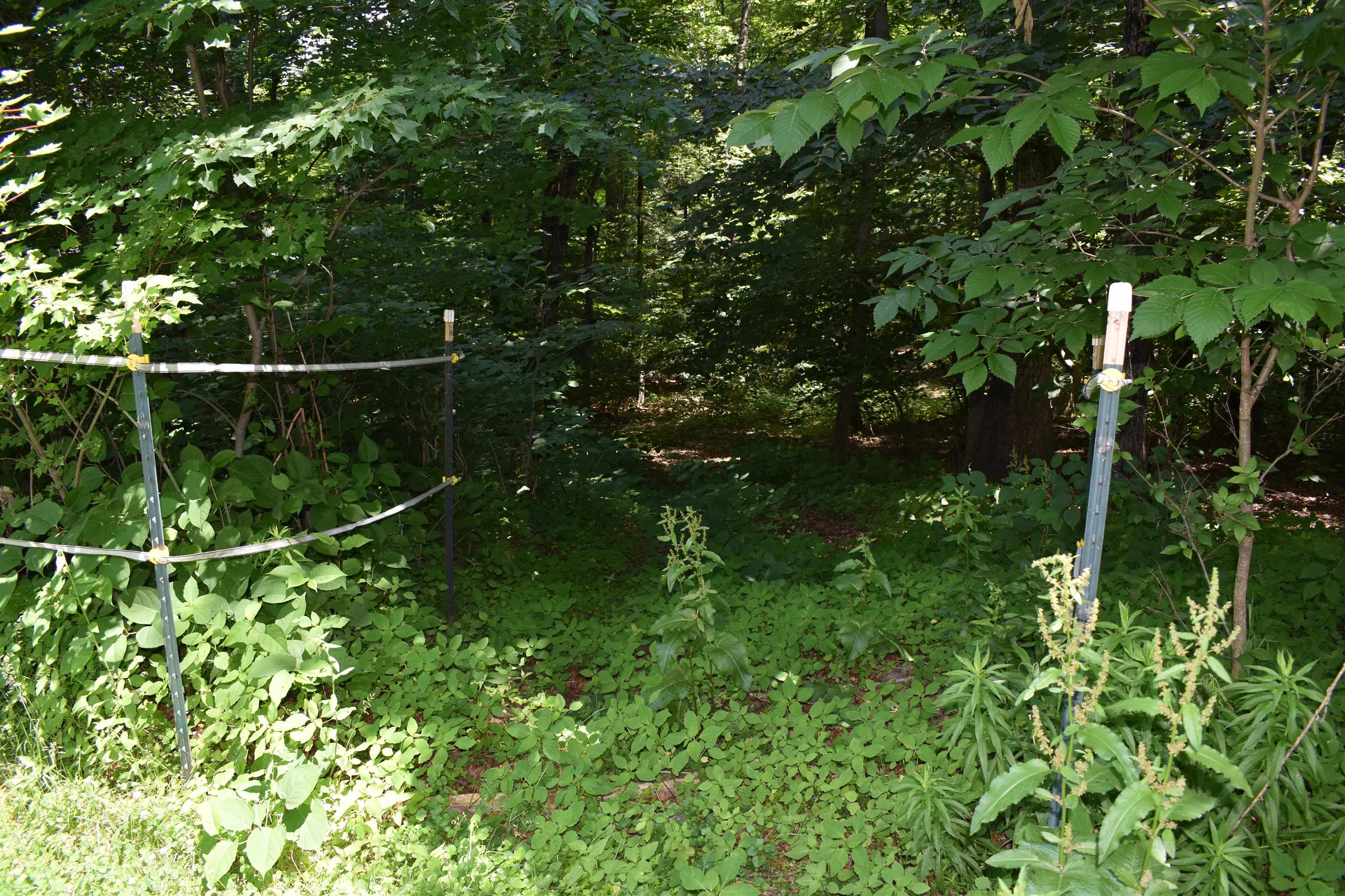 1 Whitney Grove Road Derry, NH 03038 - Photo 6 of 39