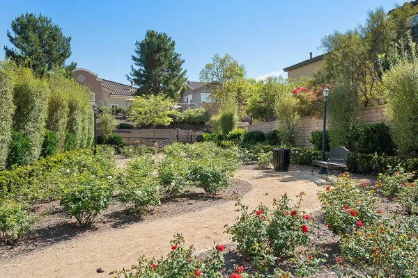 $6,950 | 6275 Silverbush Creek Street, San Diego, CA 92130
