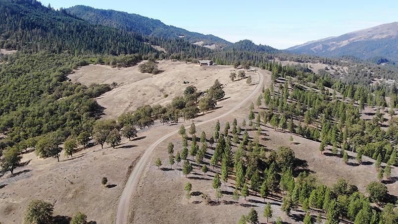 1500 Deep Hollow Road Mad River, CA 95552 - Photo 84 of 94