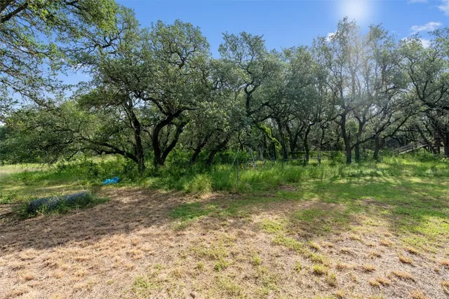 a view of backyard with green space