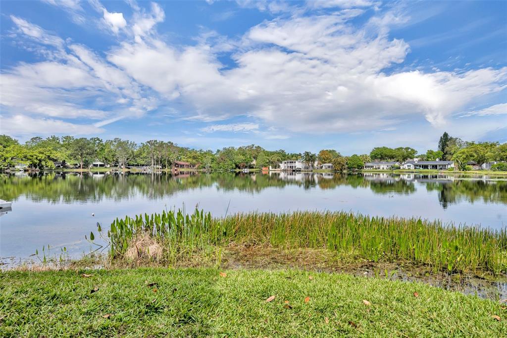 a view of a lake with houses in the back