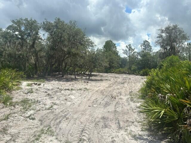 0 Old Stokes Road Frostproof, FL 33843 - Photo 4 of 8 1