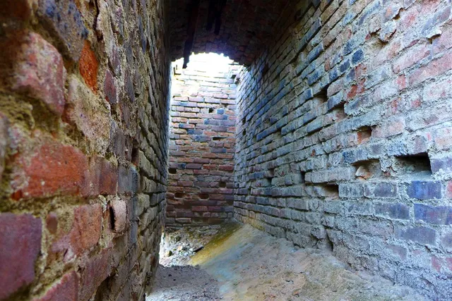 a view of a backyard with plants