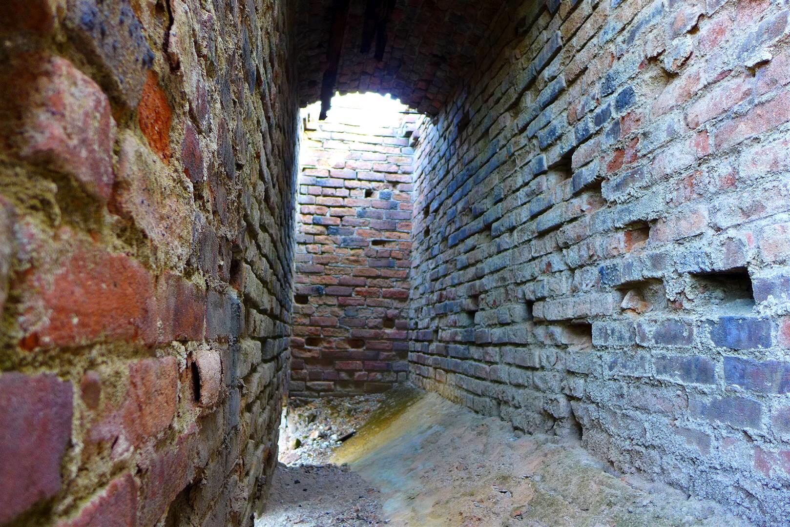 Ca-299 Oak Run, CA 96069 - Photo 11 of 34 a view of a backyard with plants