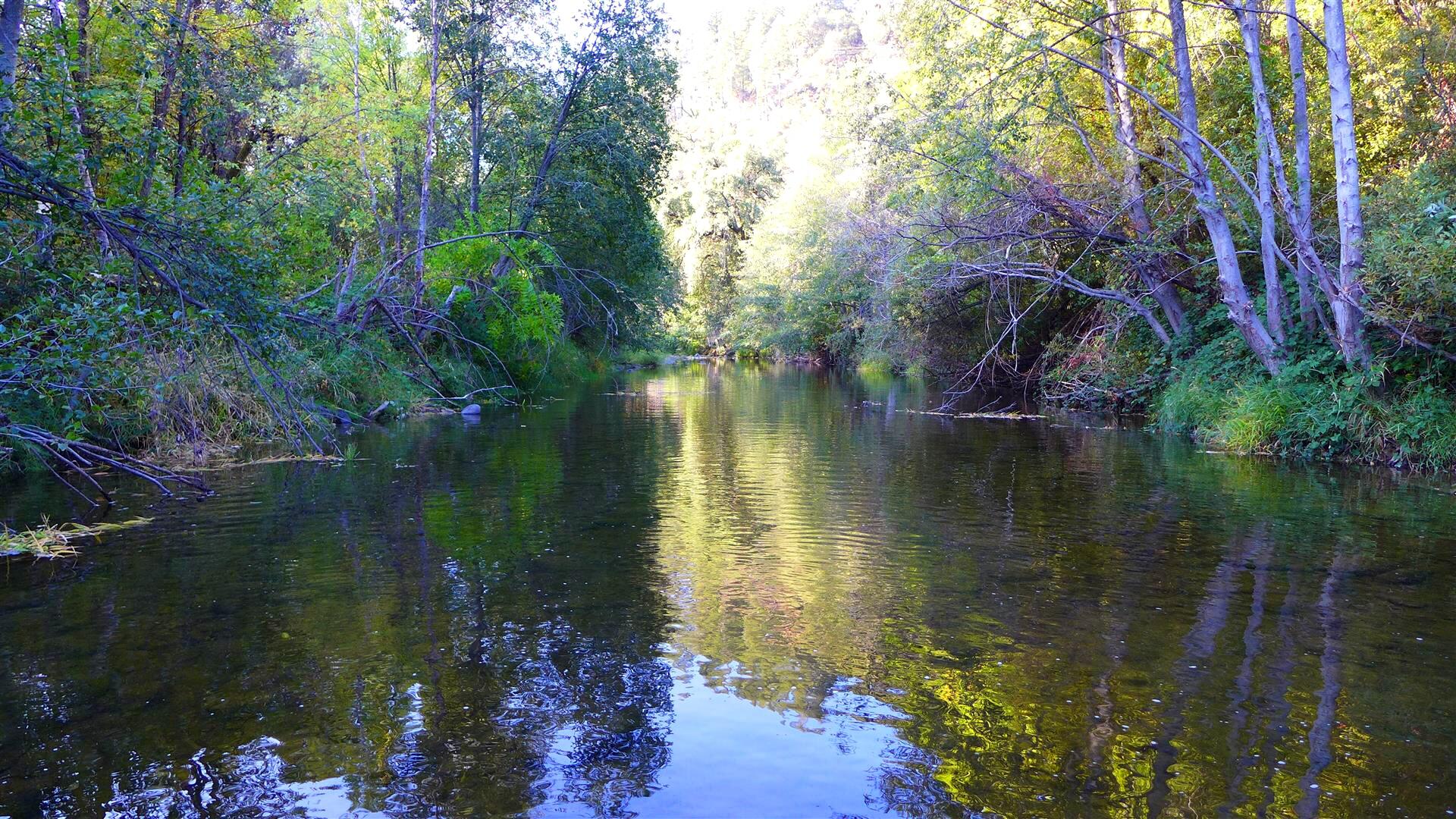 Ca-299 Oak Run, CA 96069 - Photo 13 of 34