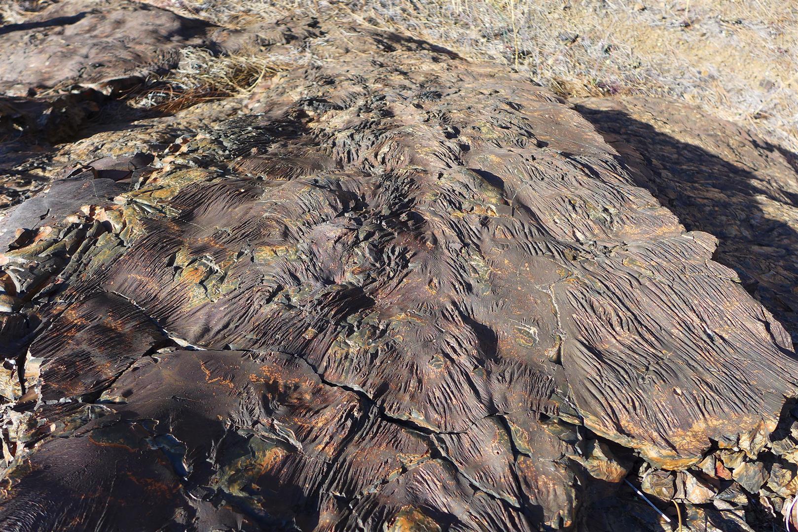Ca-299 Oak Run, CA 96069 - Photo 15 of 34 a view of an outdoor space with a lake view