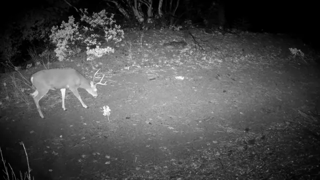 a view of a backyard of a house