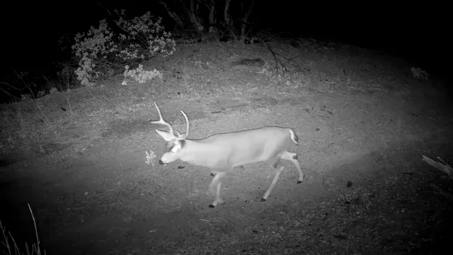 a view of water heater room