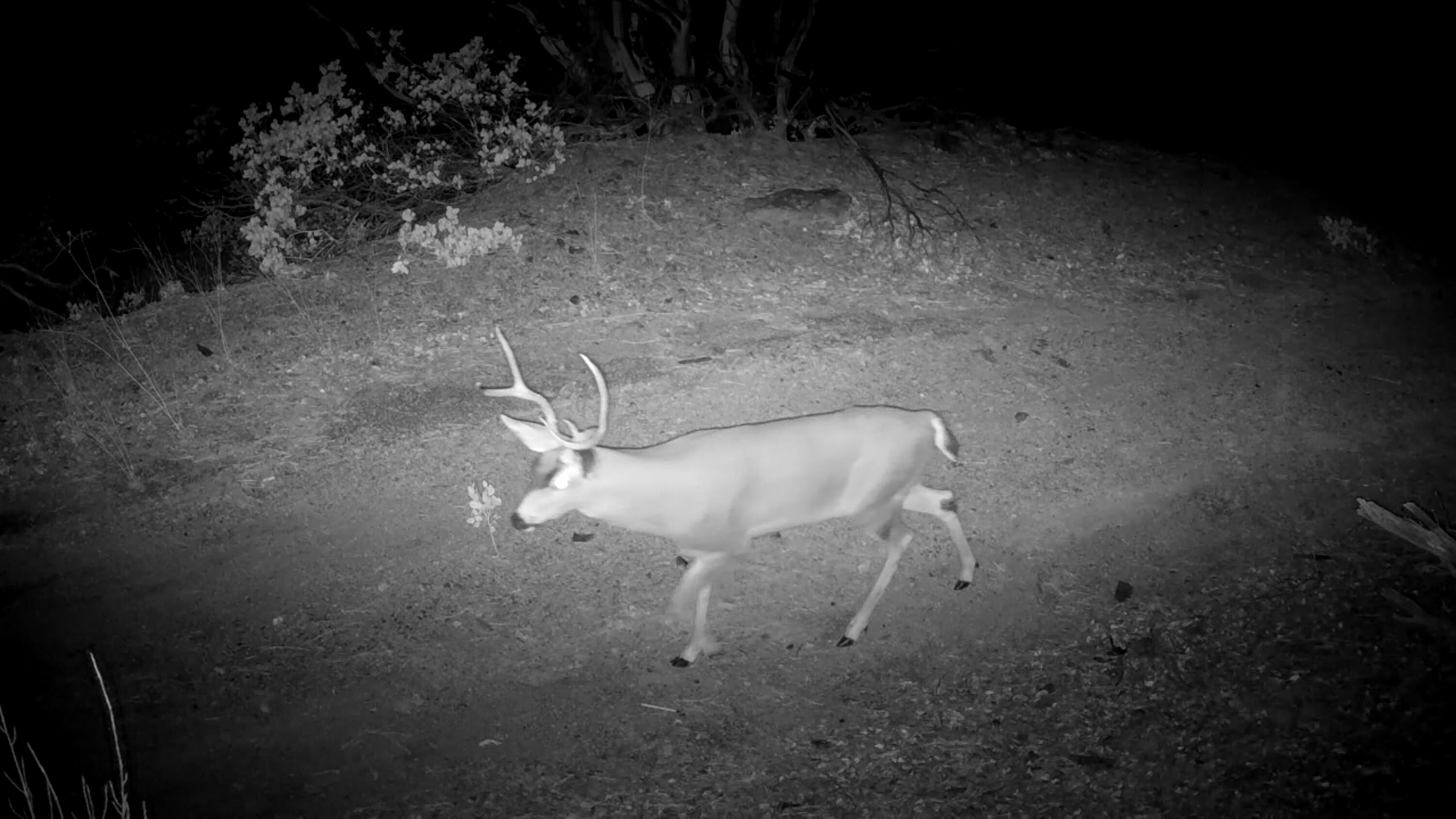 Ca-299 Oak Run, CA 96069 - Photo 20 of 34 a water heater on the wall