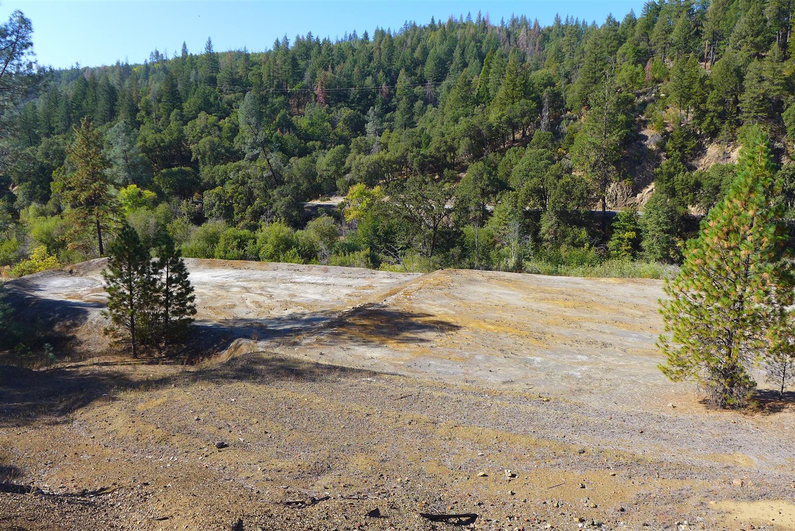Ca-299 Oak Run, CA 96069 - Photo 32 of 34 a view of a yard with a tree
