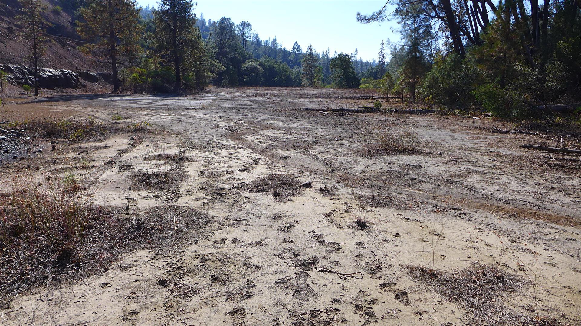 Ca-299 Oak Run, CA 96069 - Photo 34 of 34 a view of backyard with green space