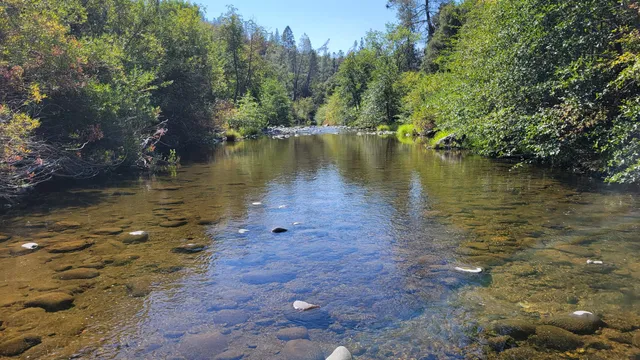 a view of a lake with houses