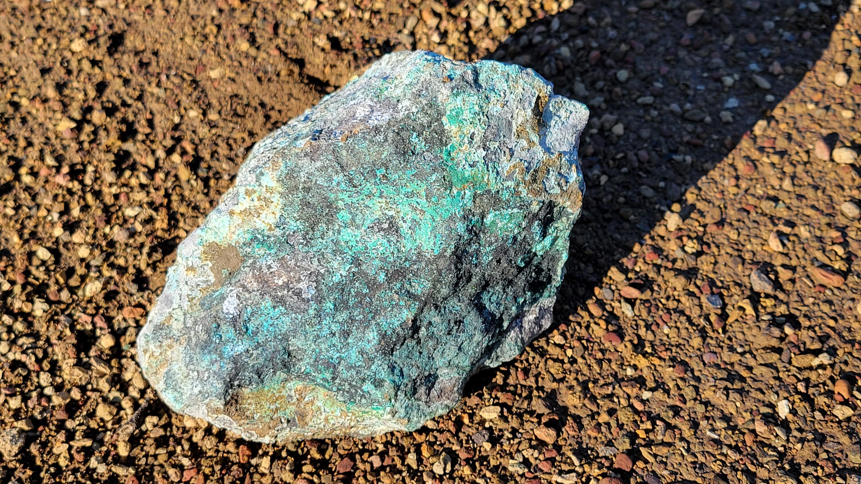 Ca-299 Oak Run, CA 96069 - Photo 7 of 34 view of a garden