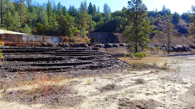a view of a yard with large trees