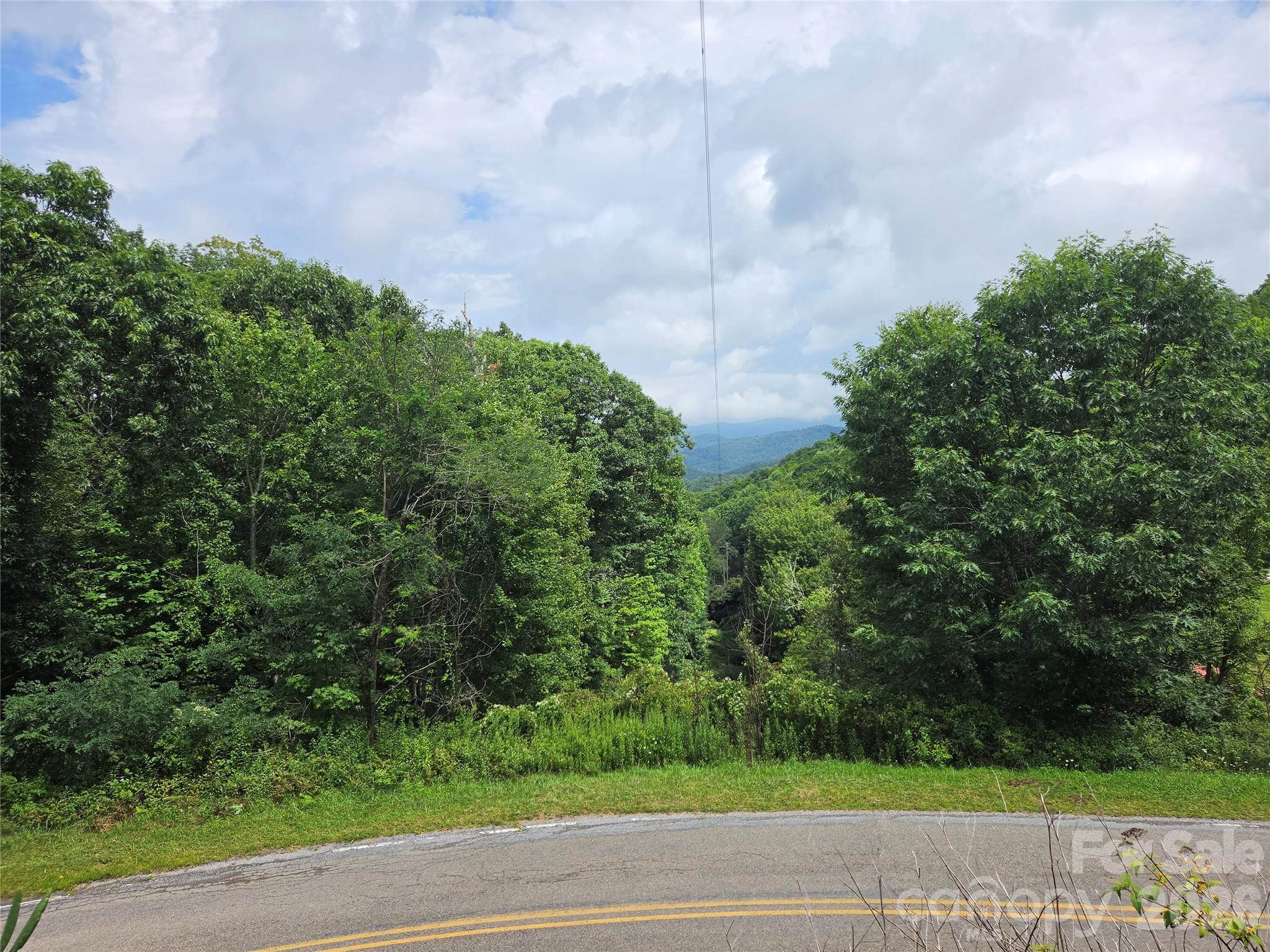 701 Pigeon Roost Road Banner Elk, NC 28604 - Photo 24 of 25 Gallery Image 24