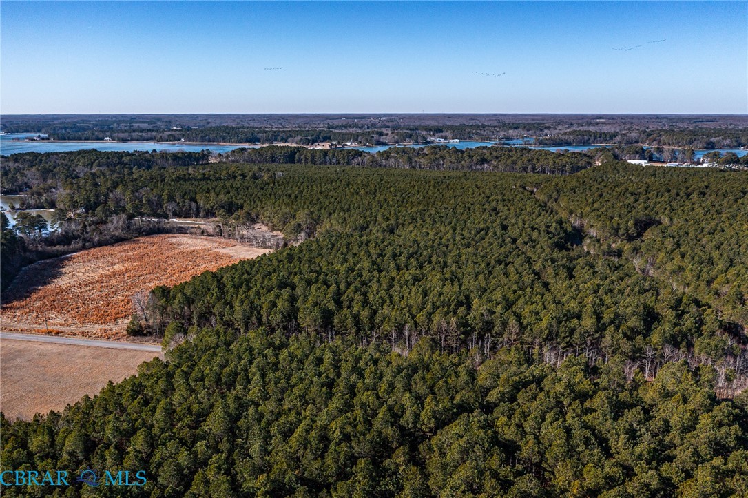 Lot 44 Skipjack Road Kinsale, VA 22488 - Photo 5 of 29