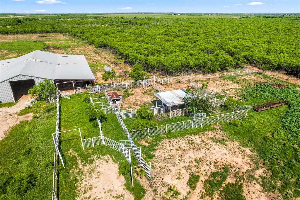 6213 Headquarters Road Iowa Park, TX 76367 - Photo 15 of 34 a view of a garden