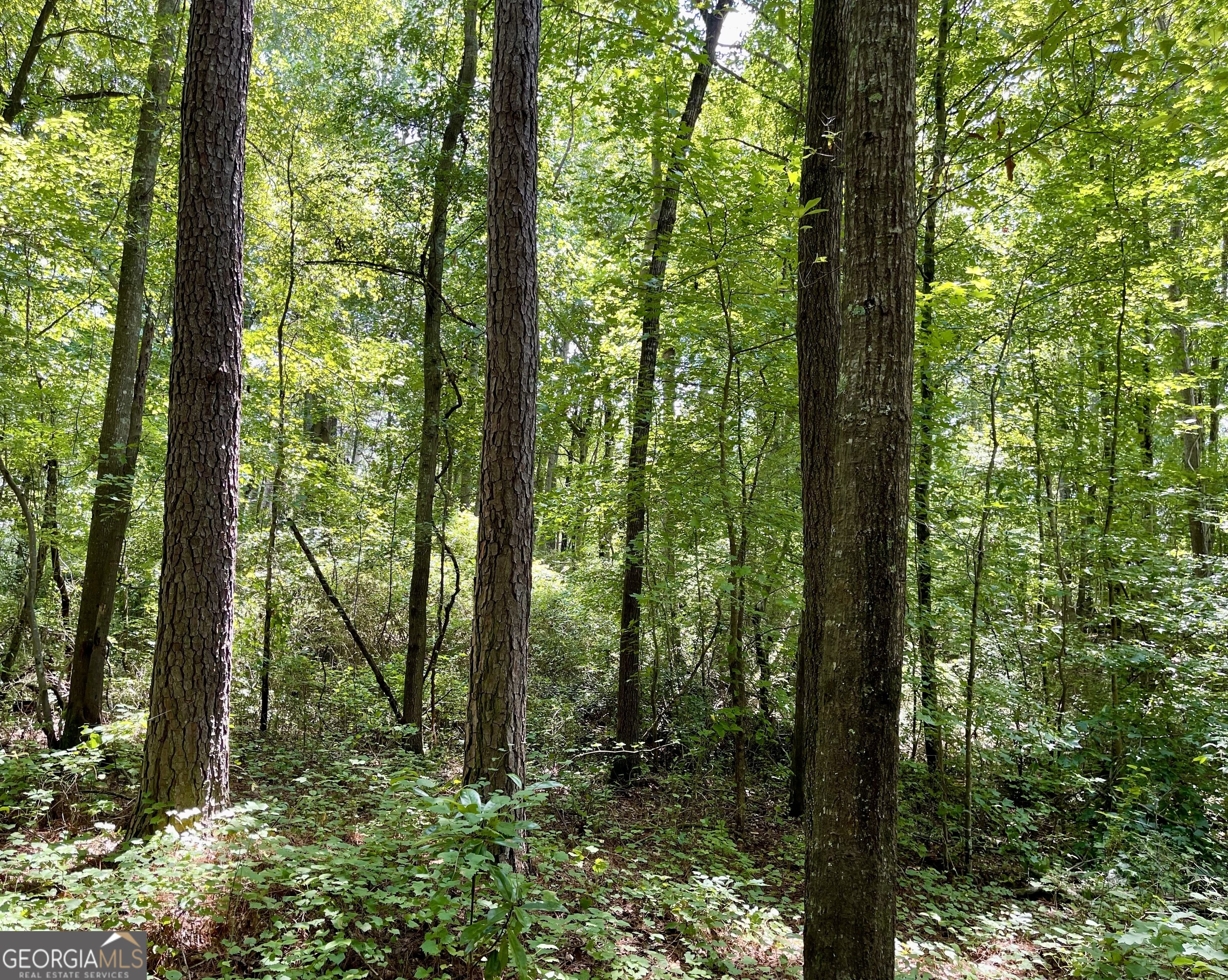 0 Welcome To Arnco Road Newnan, GA 30263 - Photo 12 of 19