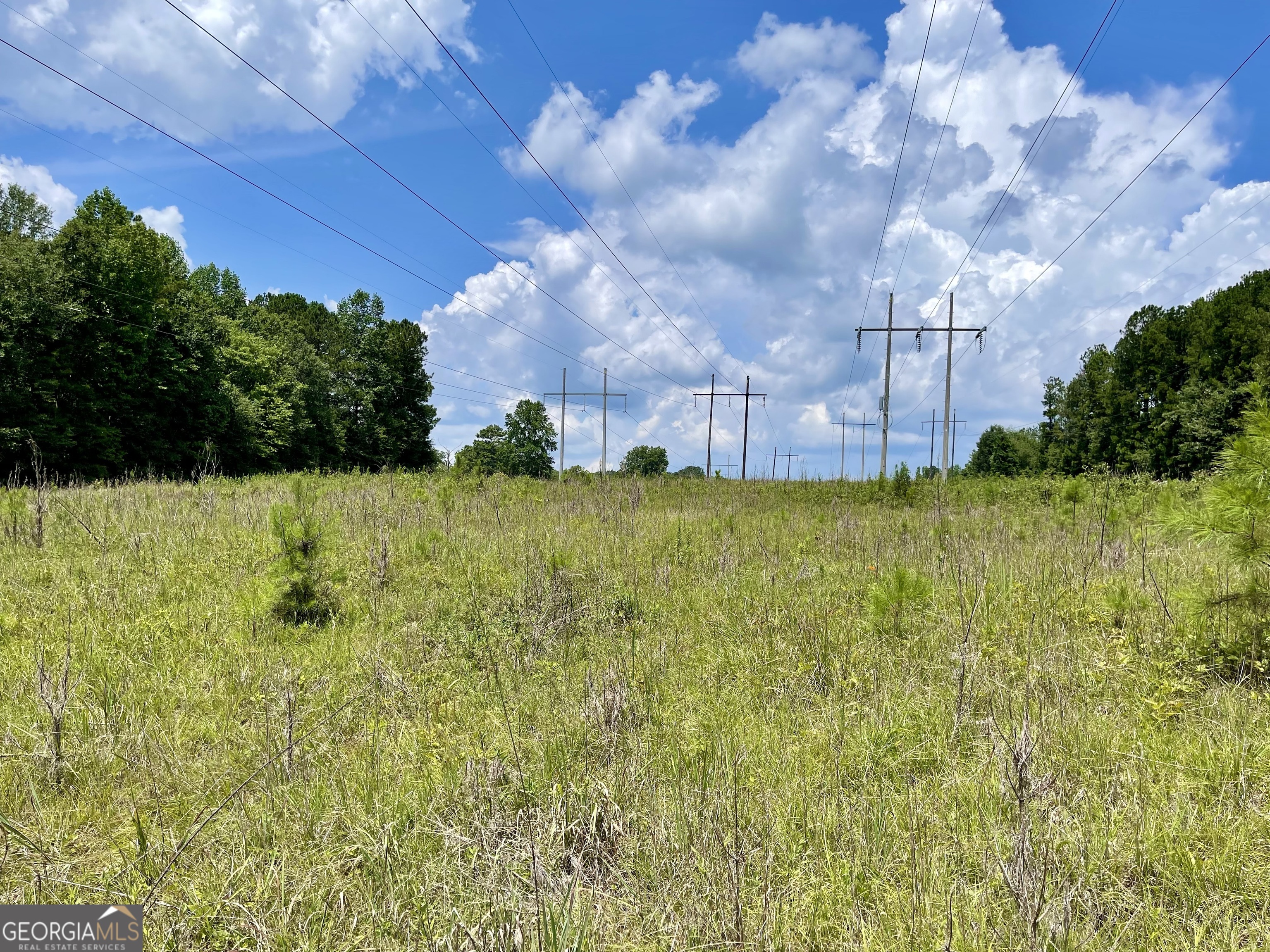 0 Welcome To Arnco Road Newnan, GA 30263 - Photo 13 of 19