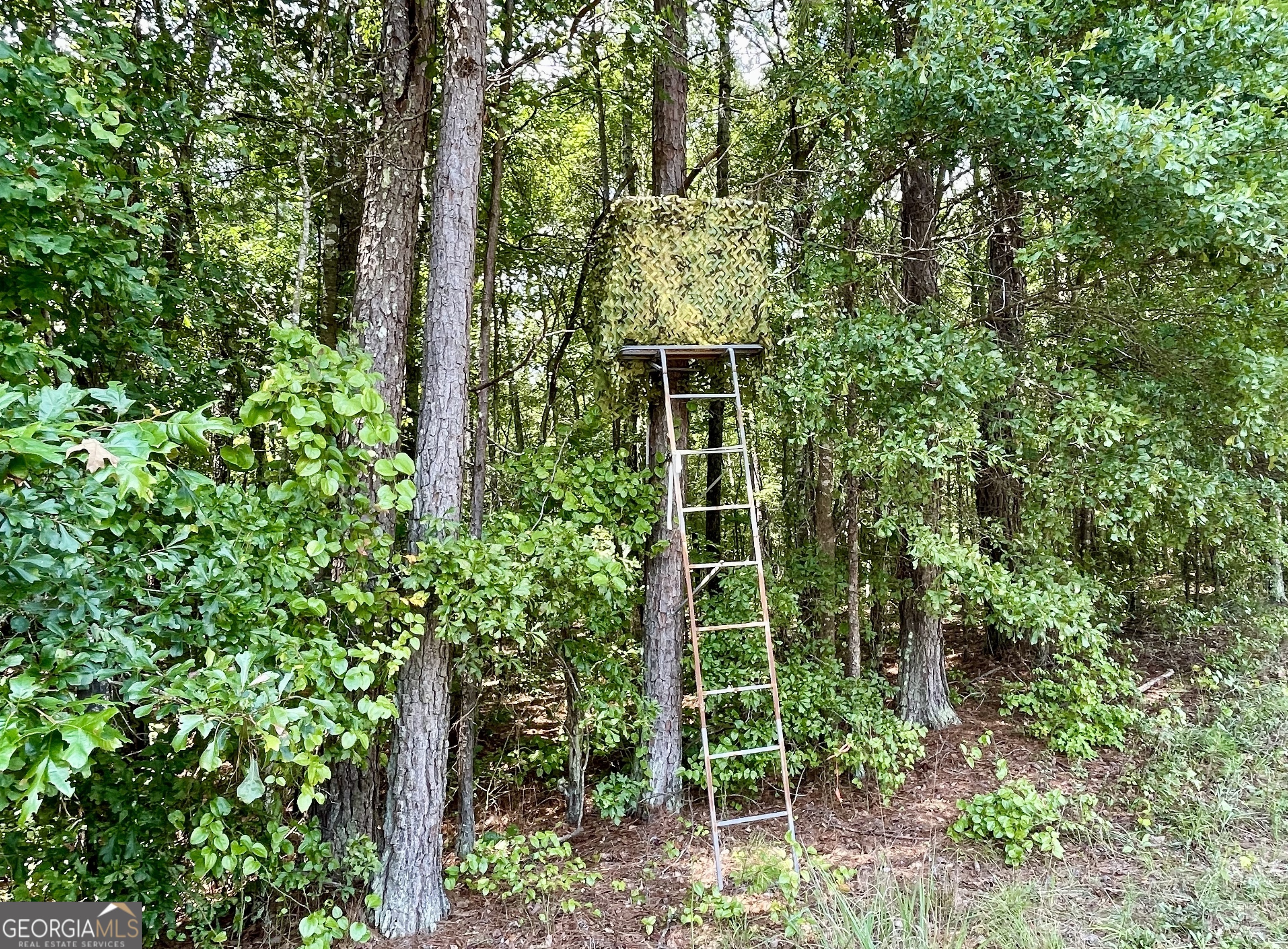 0 Welcome To Arnco Road Newnan, GA 30263 - Photo 15 of 19