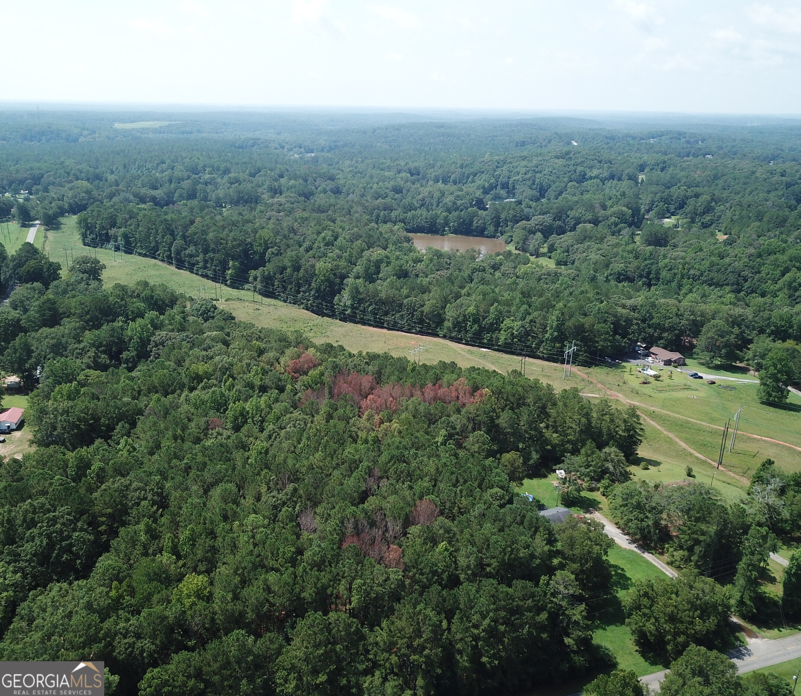 0 Welcome To Arnco Road Newnan, GA 30263 - Photo 17 of 19