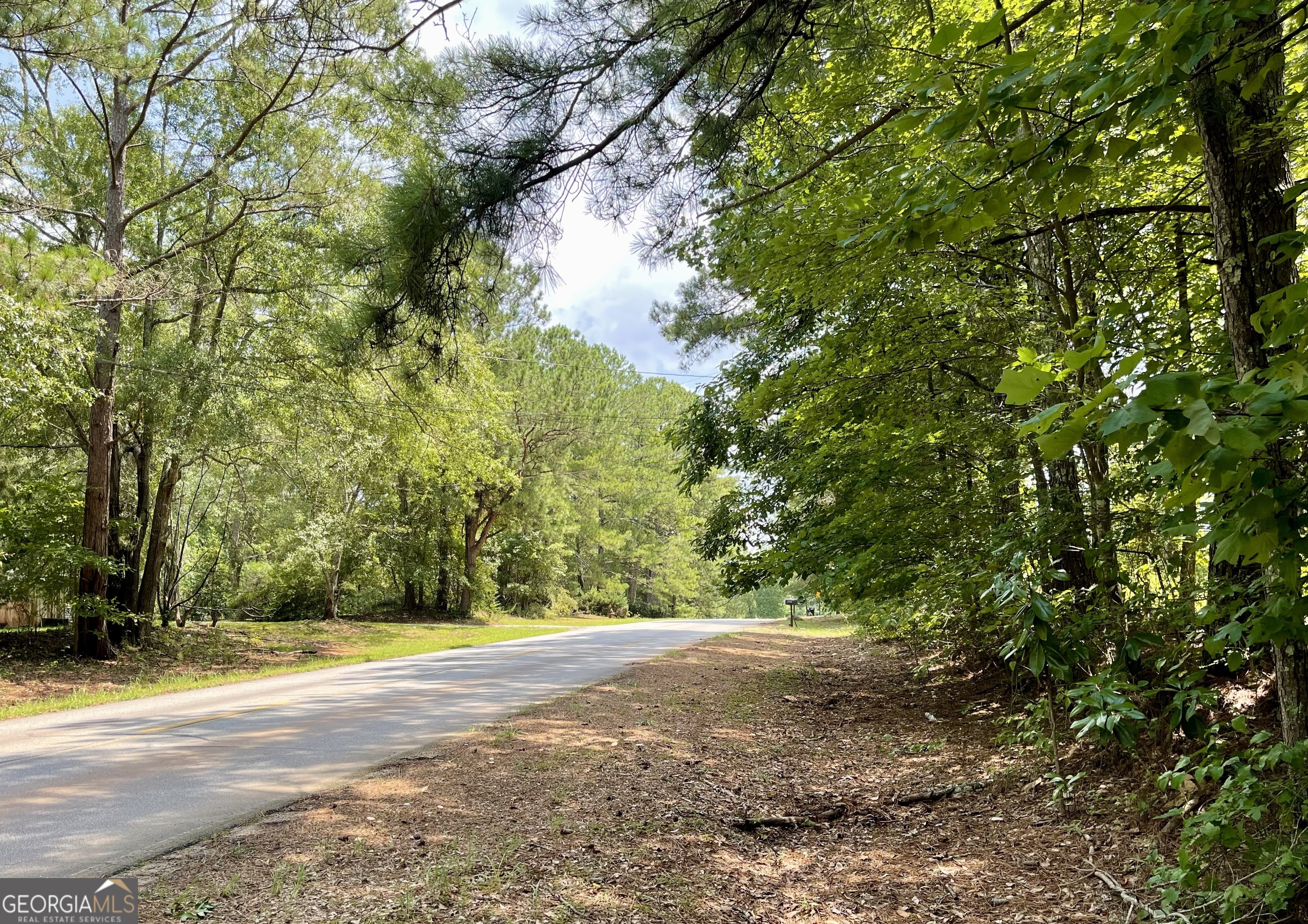 0 Welcome To Arnco Road Newnan, GA 30263 - Photo 3 of 19