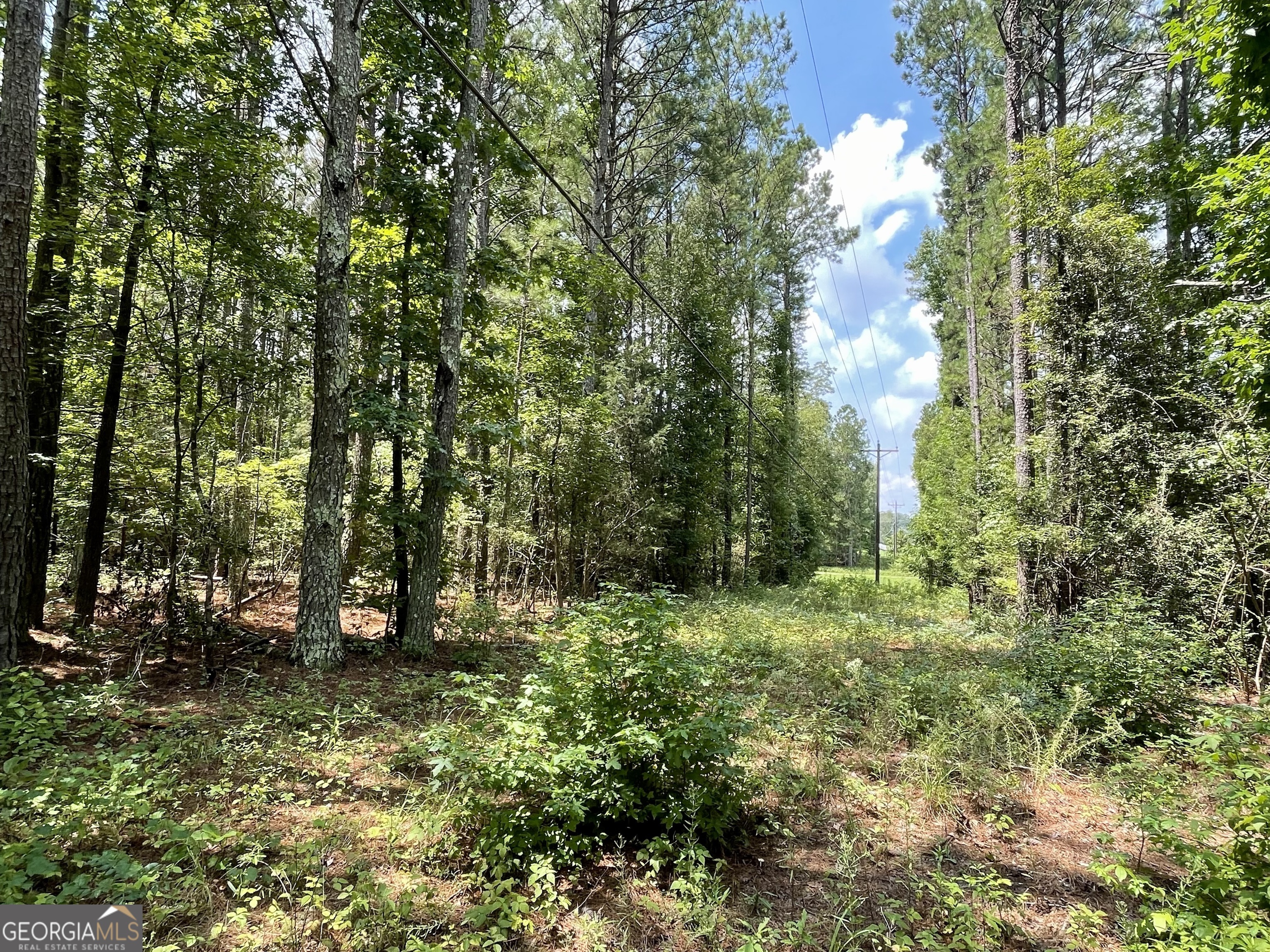 0 Welcome To Arnco Road Newnan, GA 30263 - Photo 4 of 19