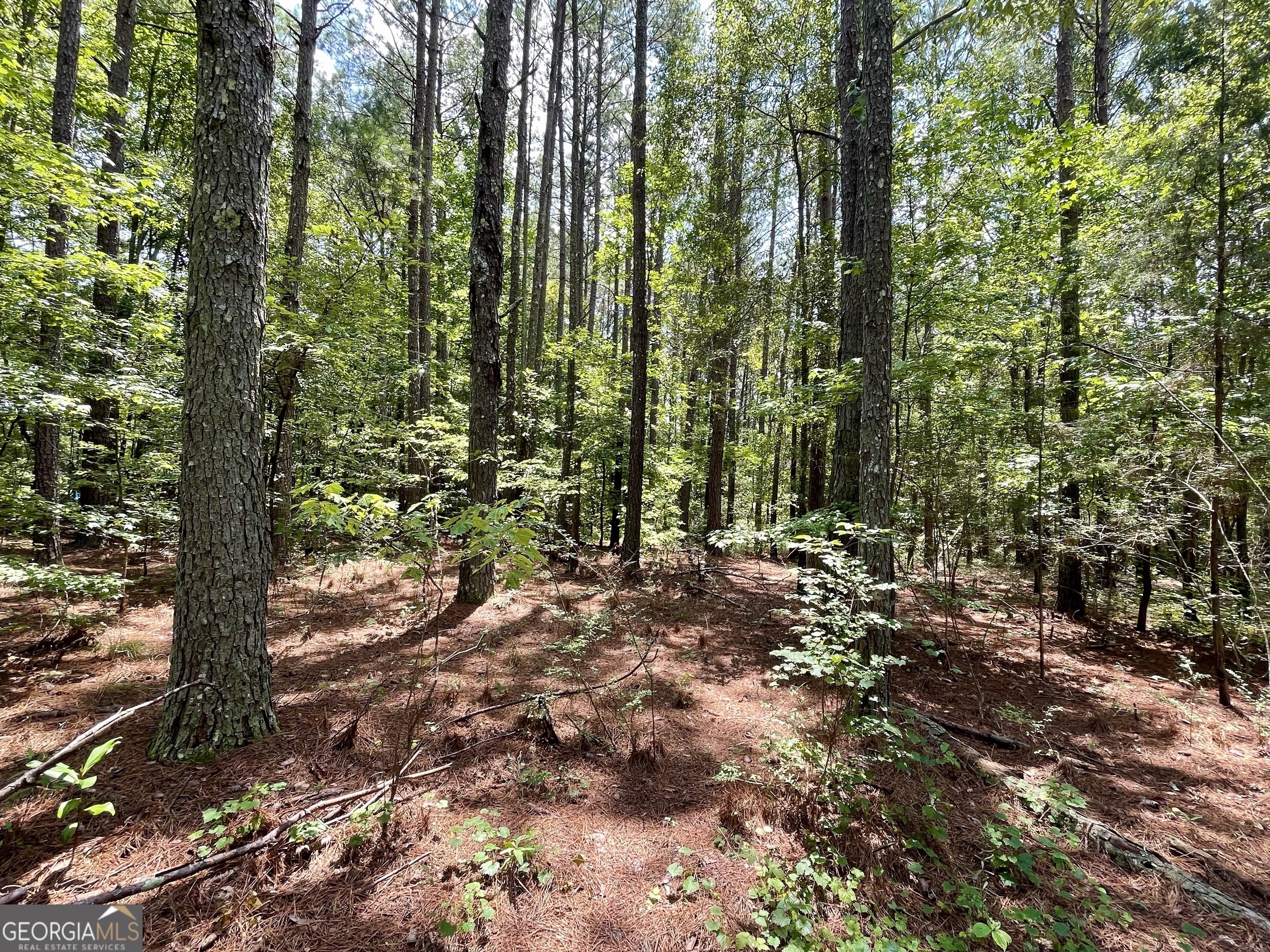 0 Welcome To Arnco Road Newnan, GA 30263 - Photo 5 of 19
