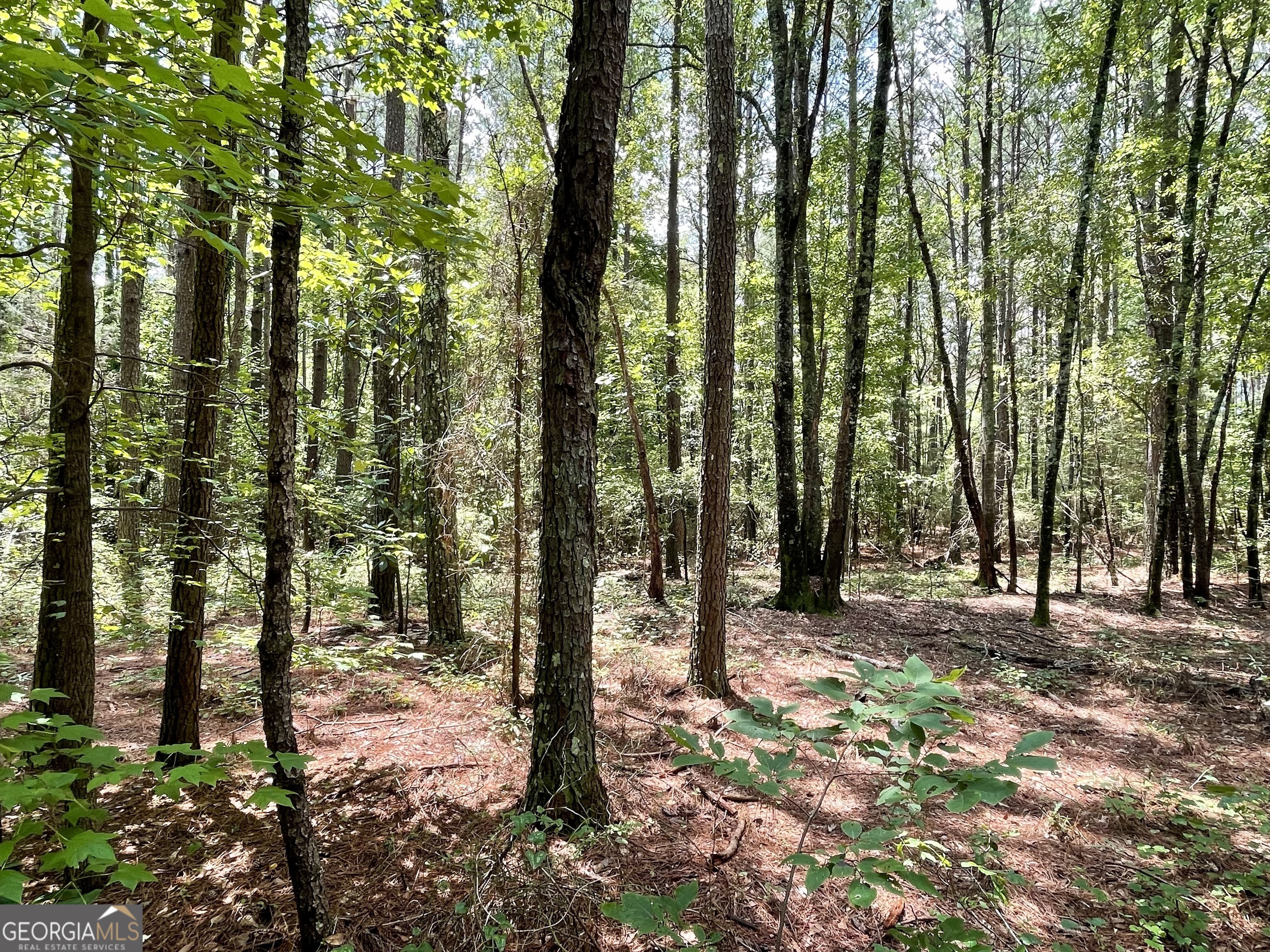 0 Welcome To Arnco Road Newnan, GA 30263 - Photo 6 of 19