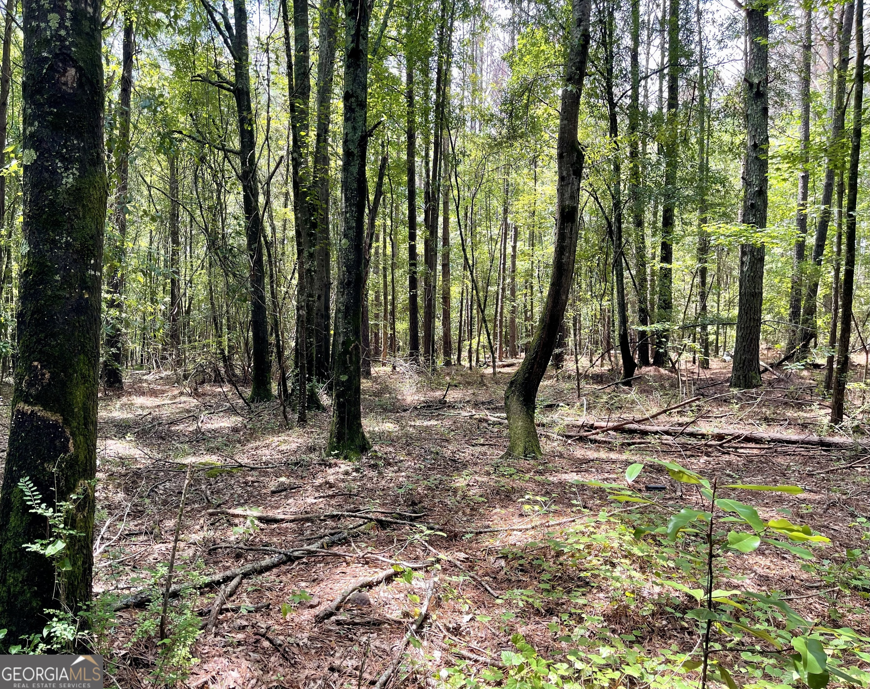 0 Welcome To Arnco Road Newnan, GA 30263 - Photo 7 of 19