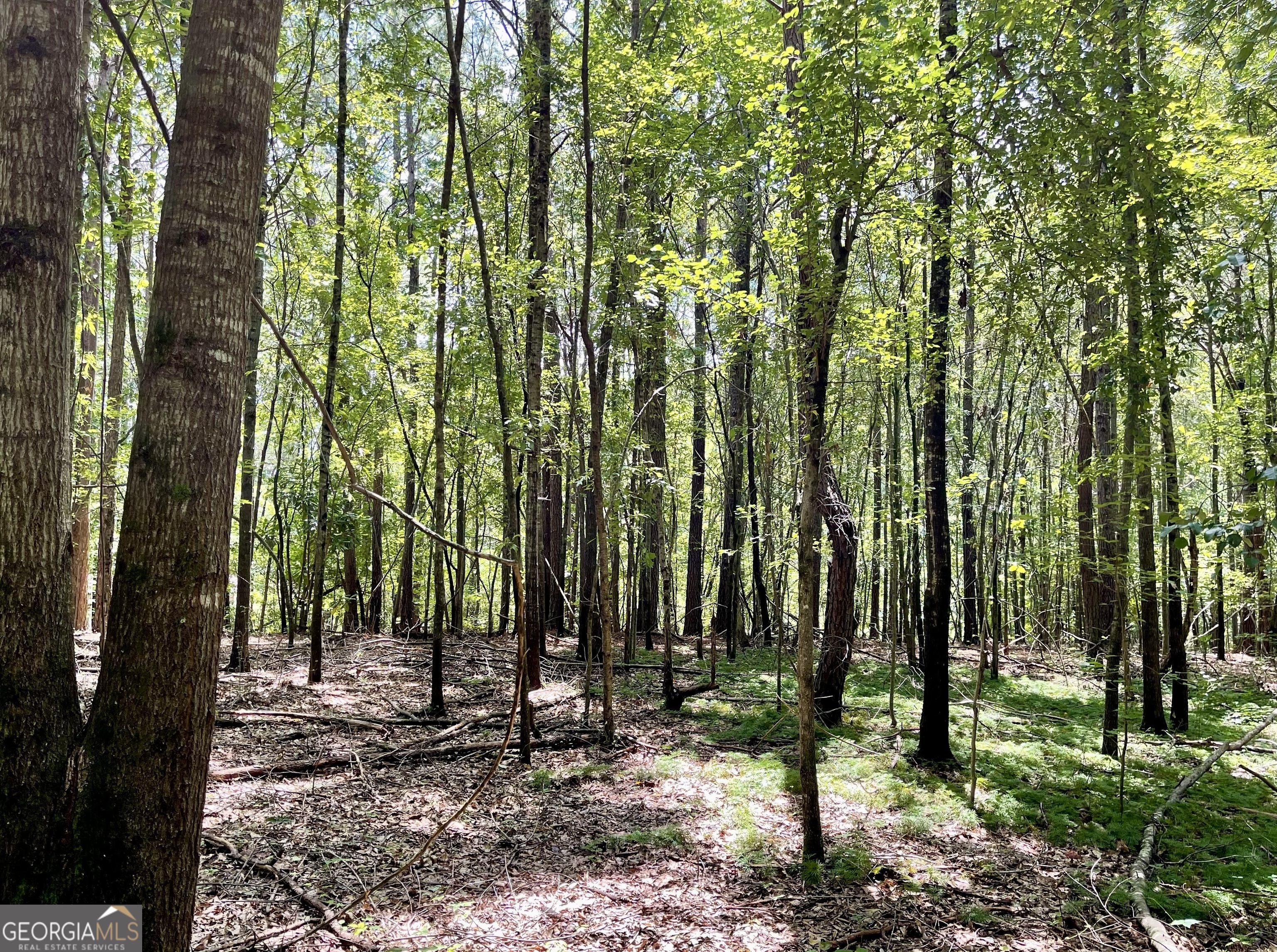 0 Welcome To Arnco Road Newnan, GA 30263 - Photo 8 of 19