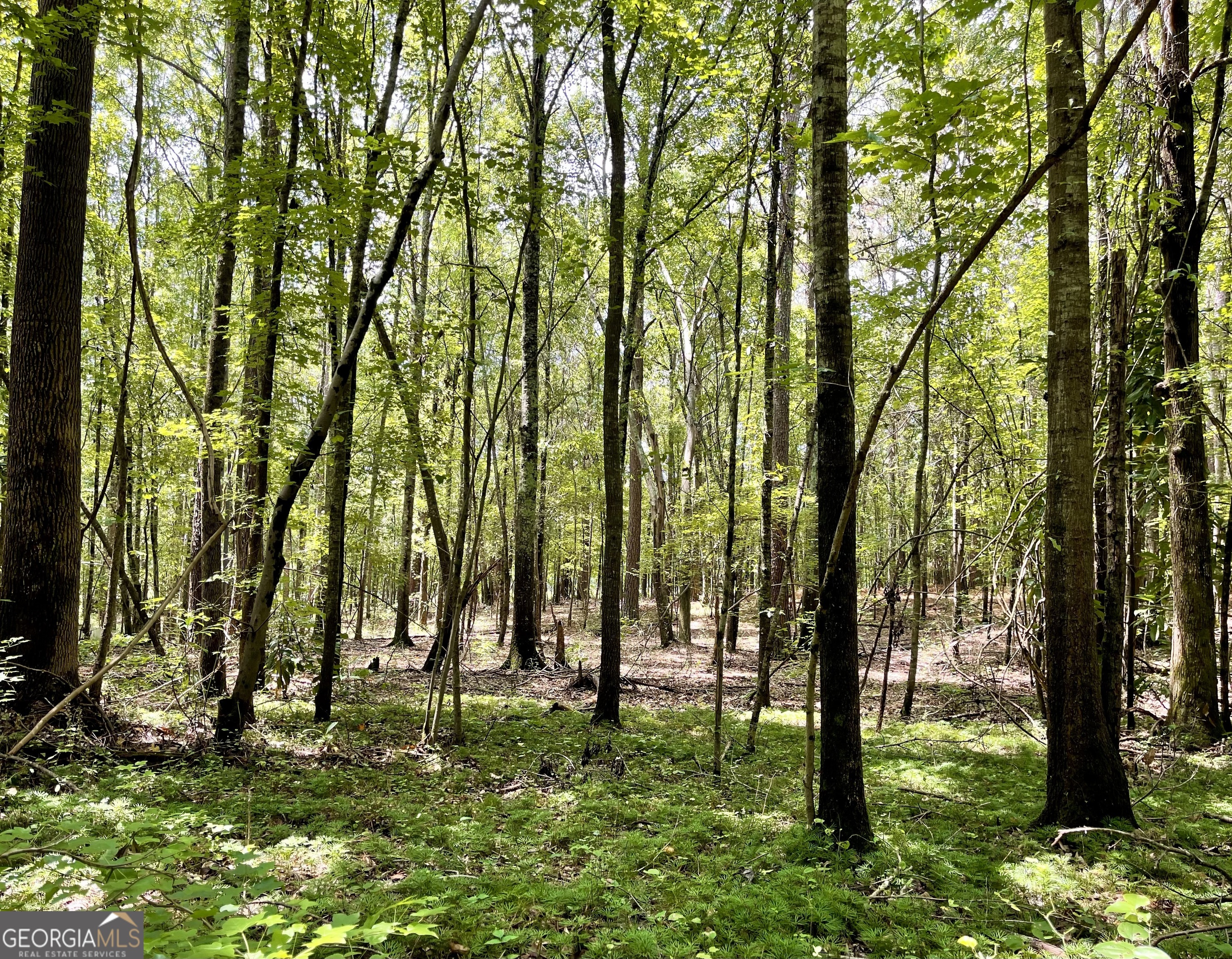 0 Welcome To Arnco Road Newnan, GA 30263 - Photo 10 of 19