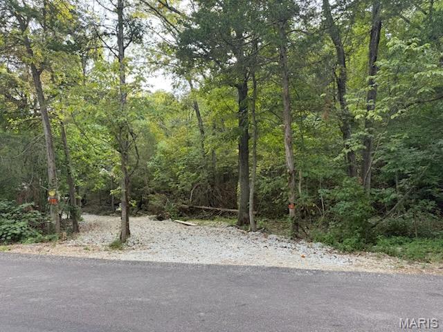 0 Ware Road De Soto, MO 63020 - Photo 1 of 5