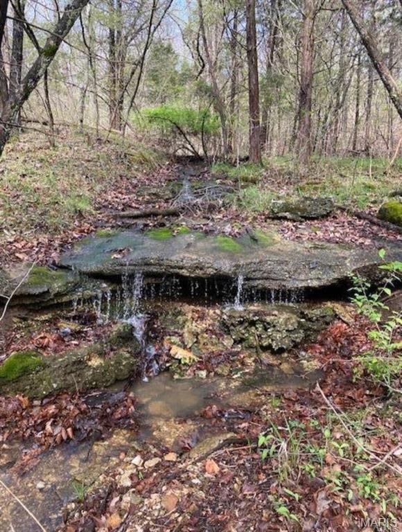 0 Ware Road De Soto, MO 63020 - Photo 2 of 5