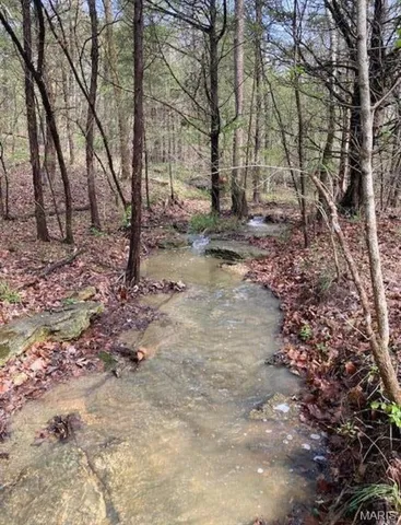 $165,000 | 0 Ware Road, De Soto, MO 63020