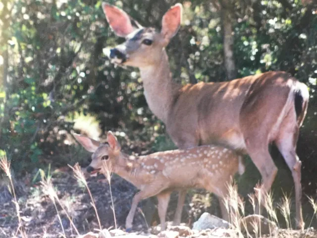 a view of a lake with houses