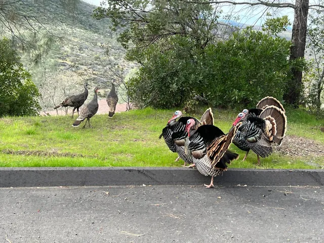 $495,000 | 314 Lariat Drive, Pope Valley, CA 94567