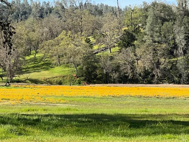 $495,000 | 314 Lariat Drive, Pope Valley, CA 94567