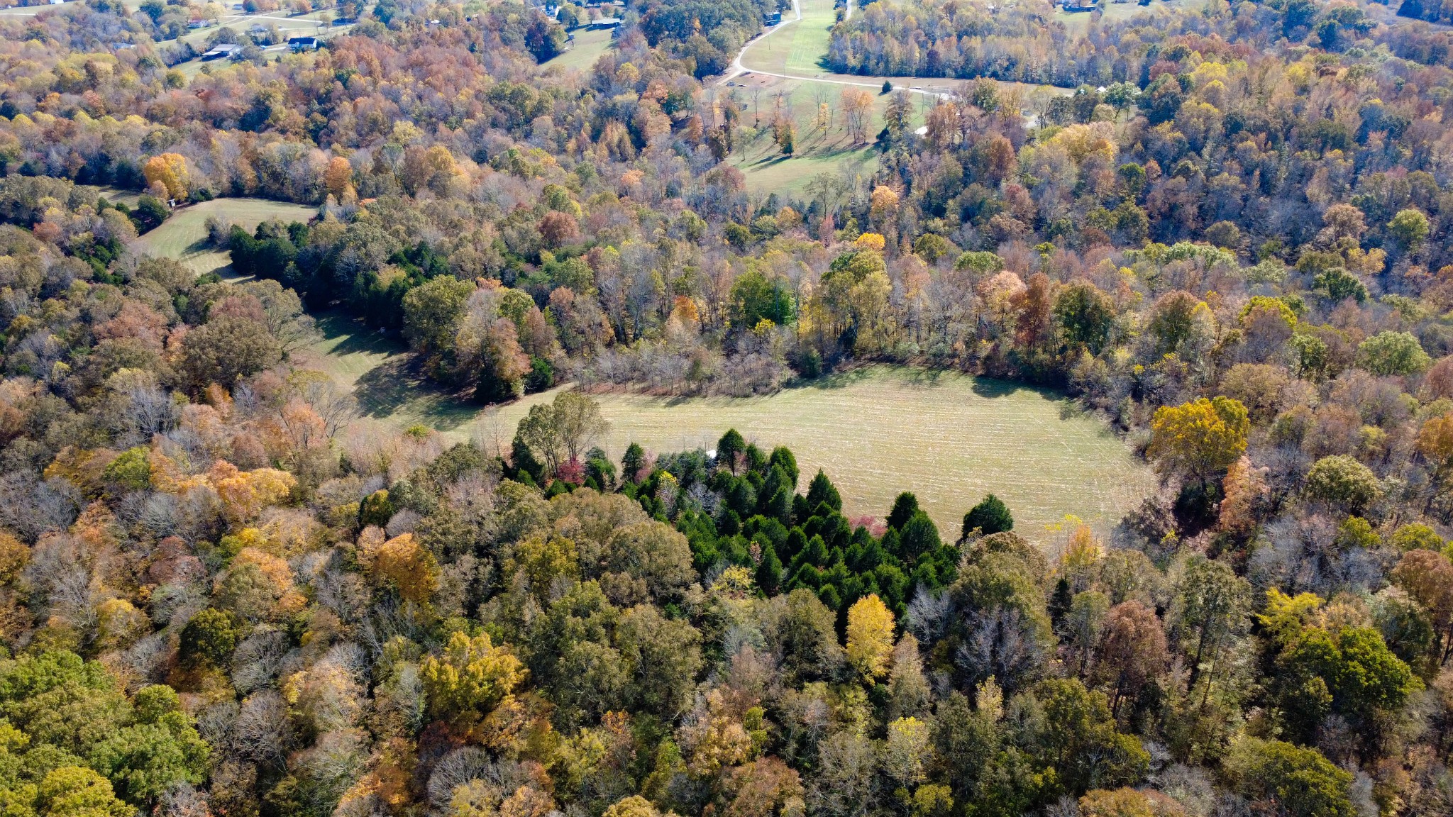 2753 Jarrell Ridge Road Clarksville, TN 37043 - Photo 75 of 80