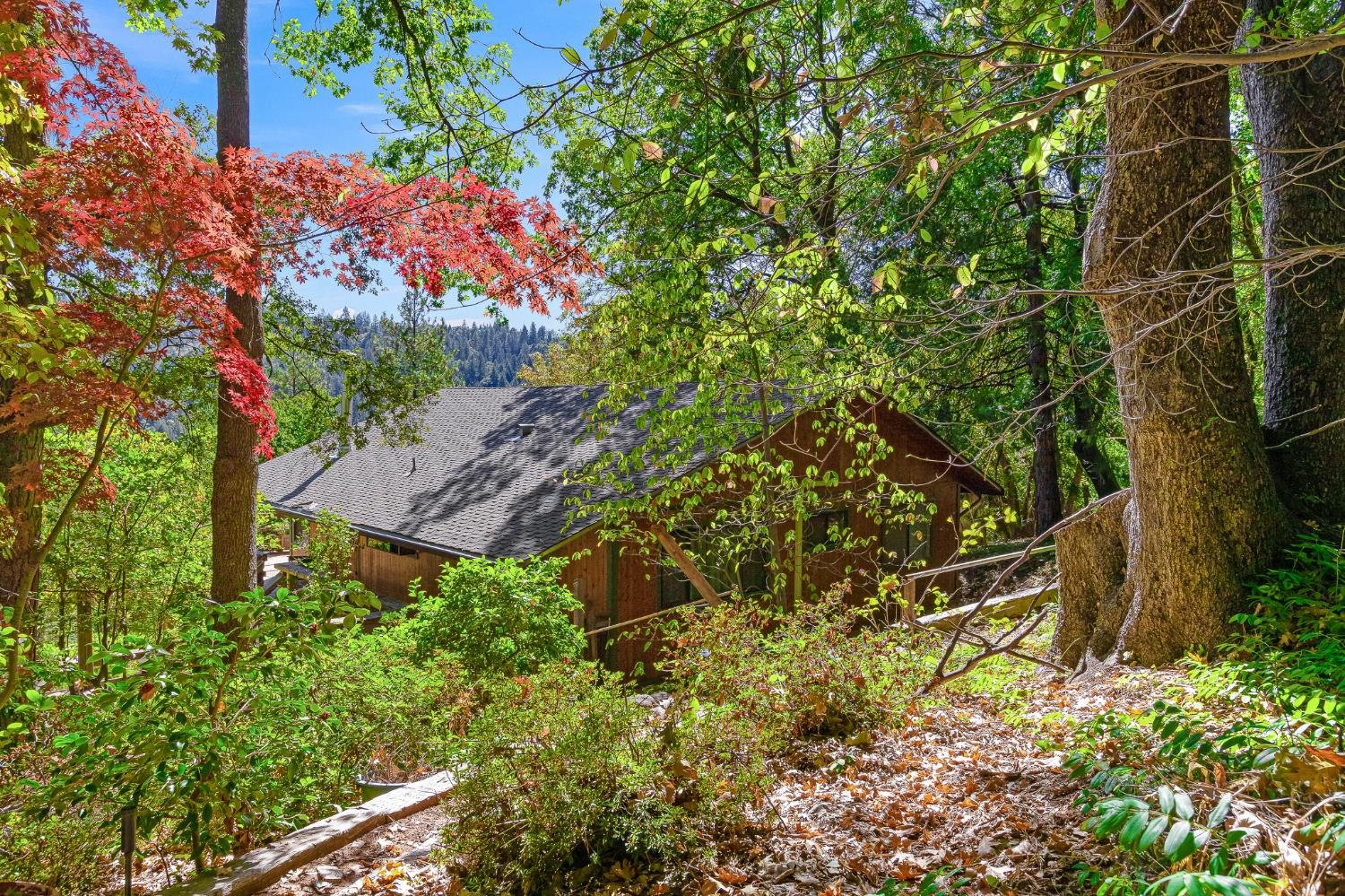 3472 Meyers Road Camino, CA 95709 - Photo 31 of 39