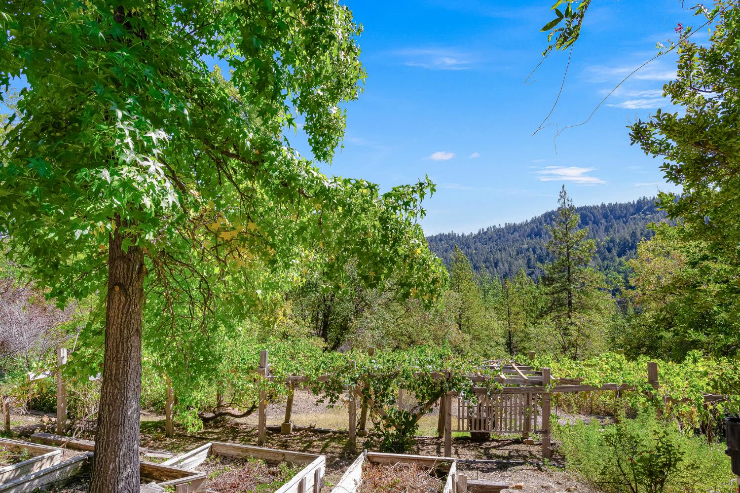 3472 Meyers Road Camino, CA 95709 - Photo 33 of 39